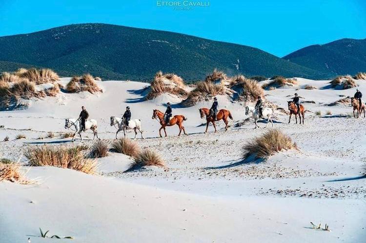 Domus Deiana Case Vacanza San Giovanni Suèrgiu Dış mekan fotoğraf