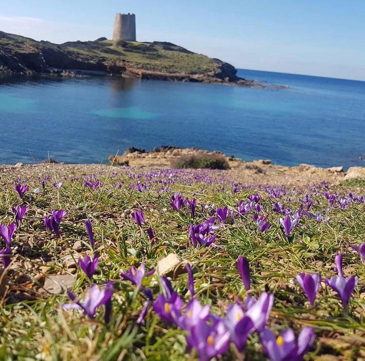 Domus Deiana Case Vacanza San Giovanni Suèrgiu Dış mekan fotoğraf