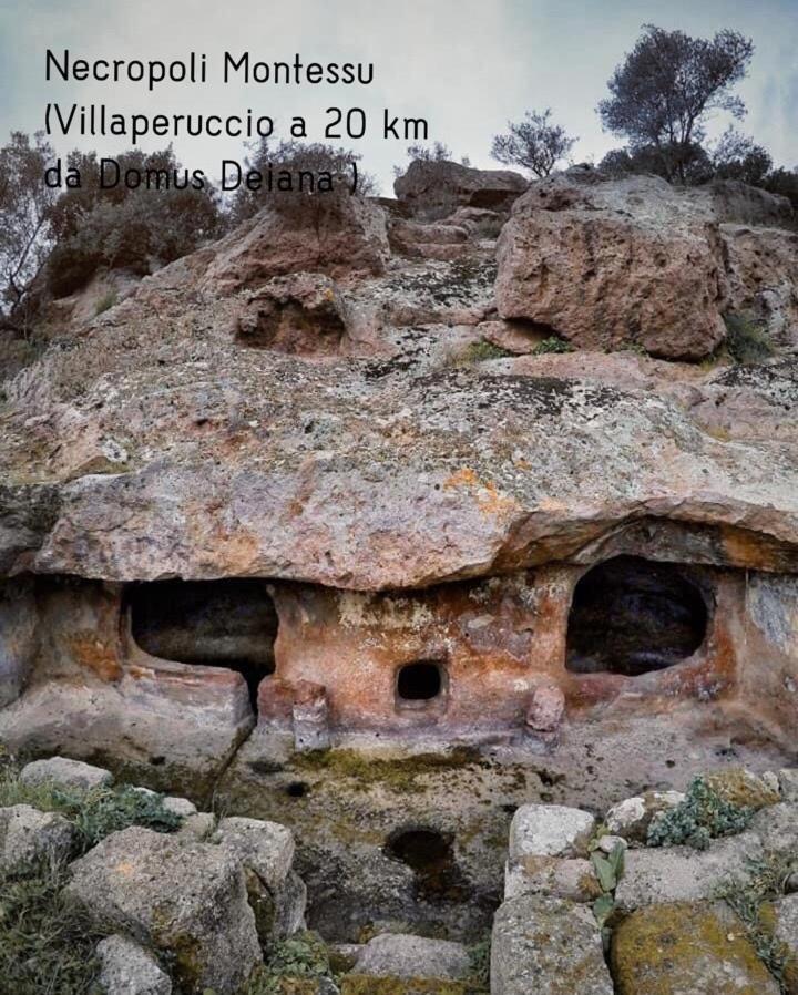 Domus Deiana Case Vacanza San Giovanni Suèrgiu Dış mekan fotoğraf